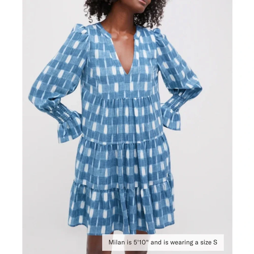 POMANDER PLACE Blue Ikat Kenzo Dress - Picture 2 of 11